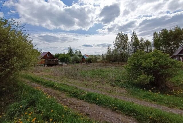 Вышневолоцкий муниципальный округ, садовое товарищество Берёзка фото