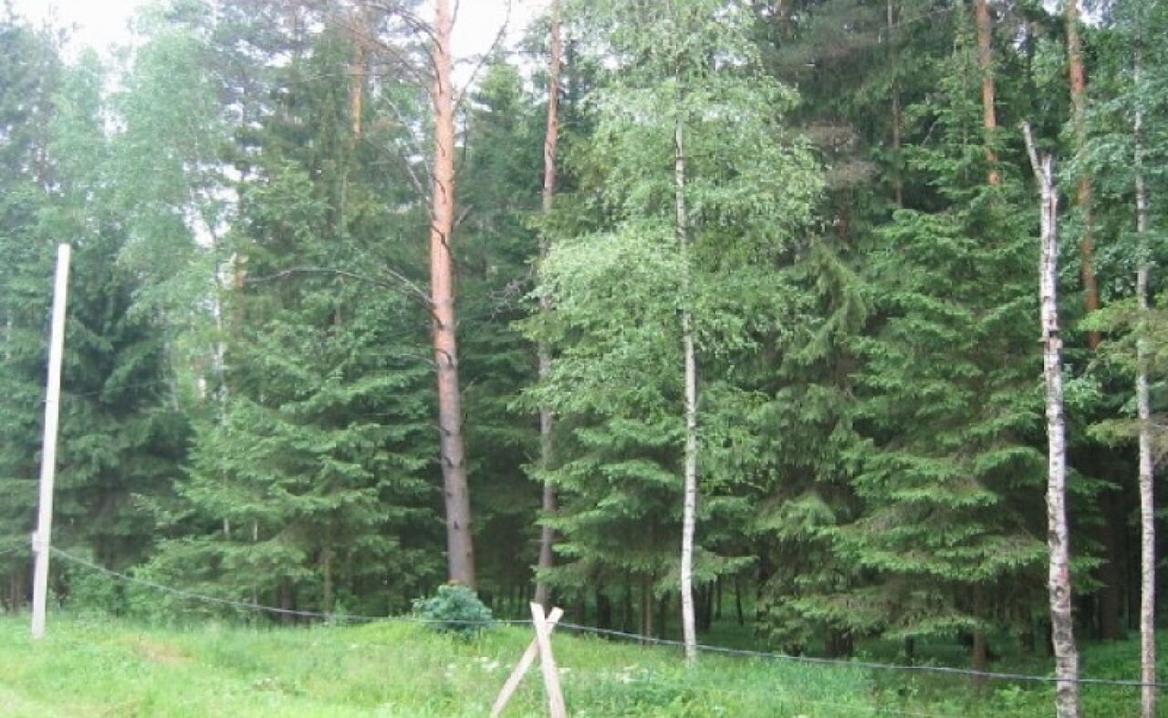 земля городской округ Красногорск 13 км, коттеджный пос. Вымпел, Волоколамское шоссе фото 5