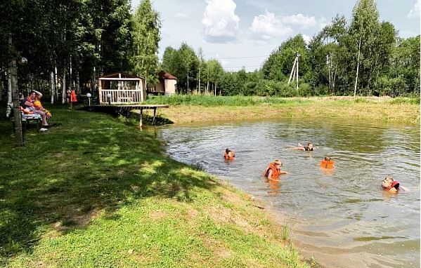 дом г Переславль-Залесский ул Полевая 18 д. Ширяйка фото 38