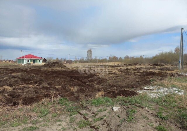 г Тюмень р-н Центральный снт Поле чудес-2 фото