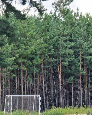 Айдаровское сельское поселение, КП Снегири, Рамонь фото