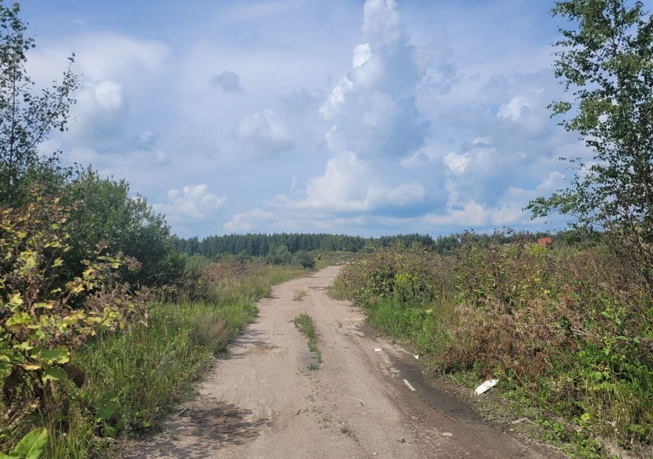 земля городской округ Воскресенск п Хорлово тер Промплощадка западная 14 68 км, Воскресенск, Новорязанское шоссе фото 3