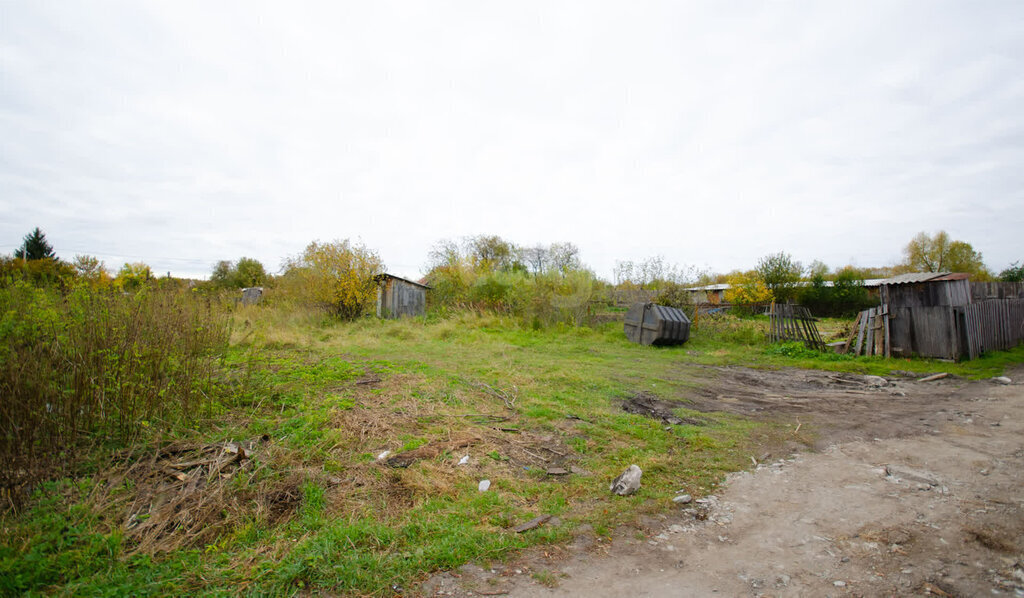 земля г Ялуторовск садово-огородническое некоммерческое товарищество Пустошкино фото 3