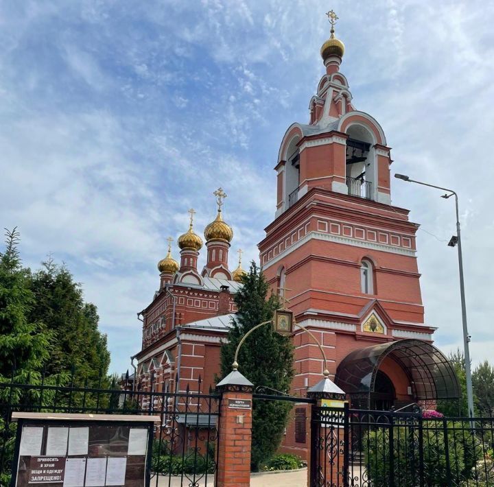 земля г Москва п Марушкинское д Большое Свинорье ул Центральная Санино фото 11