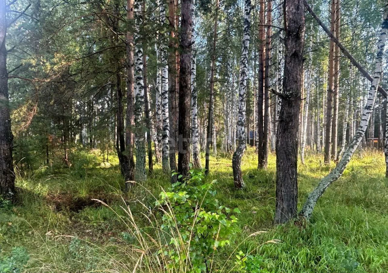 земля г Верхняя Пышма п Кедровое Старотагильский тракт, 9744 км, Тихая ул., 2, Среднеуральск фото 14