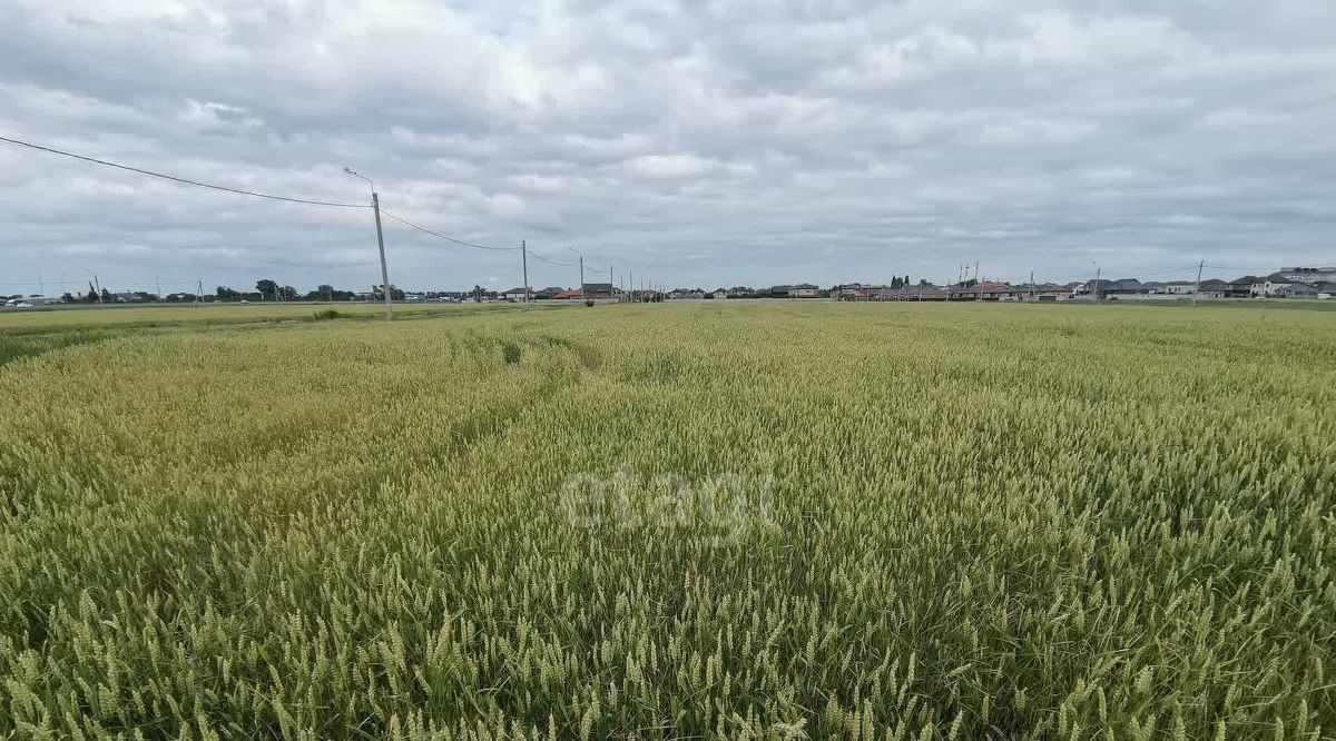 земля р-н Тахтамукайский п Дружный ул Крестьянская Энемское городское поселение фото 5