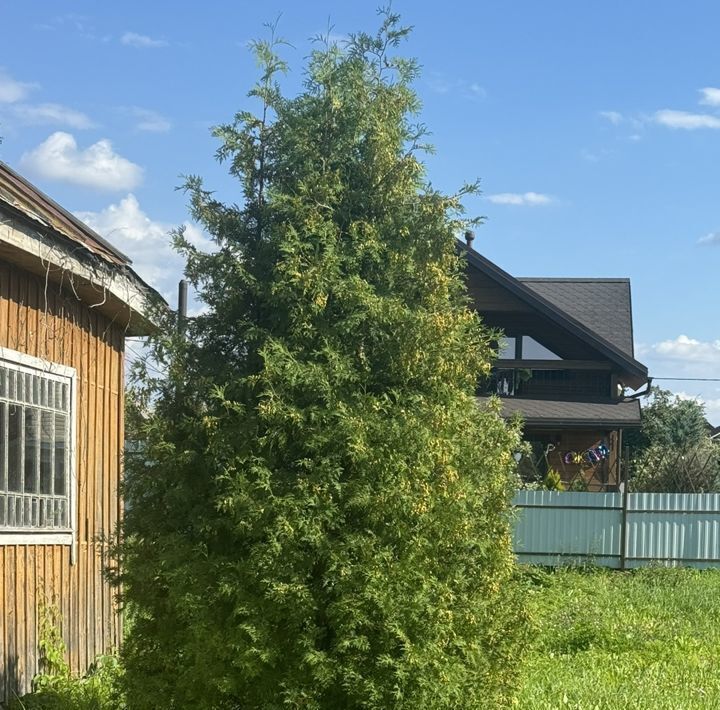 земля р-н Тосненский г Тосно снт Заречное Тосненское городское поселение, 207 фото 21