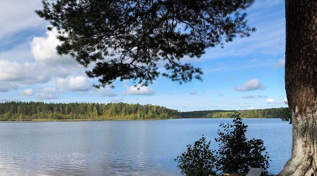 квартира р-н Всеволожский г Мурино пр-кт Авиаторов Балтики 3 Муринское городское поселение фото 20