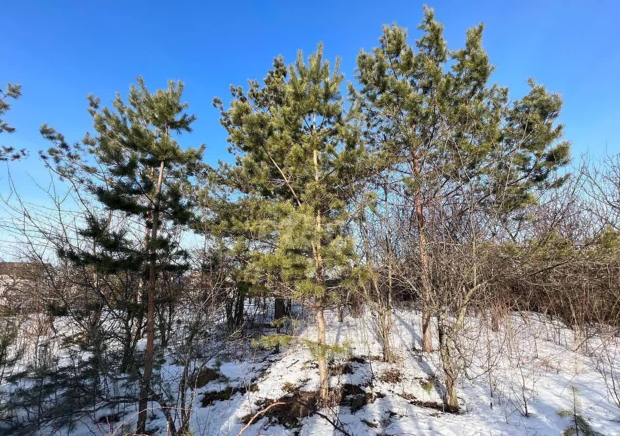 земля г Воронеж р-н Советский снт Лазурит-Тепличный фото 3