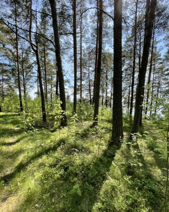 земля р-н Питкярантский д Хийденсельга Ляскеля фото 19