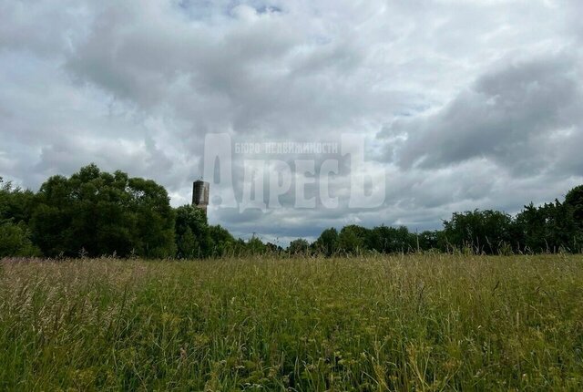 д Климовское сельское поселение Кривское фото