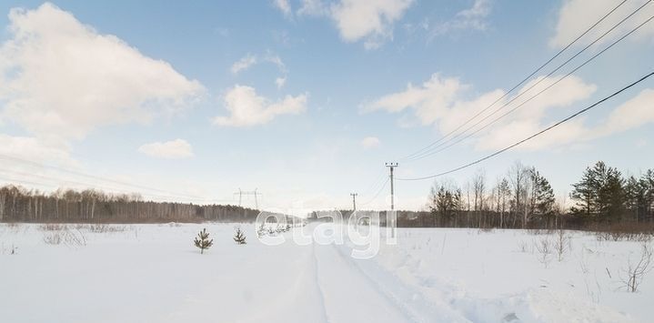 земля р-н Нижнетавдинский снт Строитель ТСН фото 28