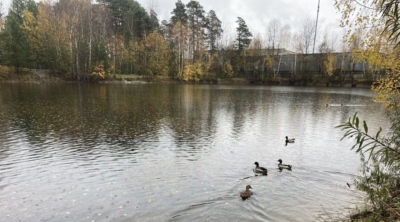 дом г Протвино снт Радуга Серпухов городской округ фото 14