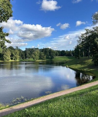 пр-кт Дворцовый 14/9 метро Проспект Ветеранов фото