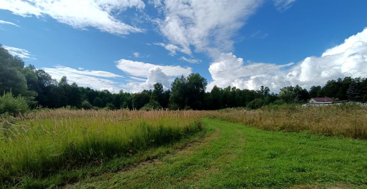 земля городской округ Клин с Борщево 9802 км, Клин, Рогачёвское шоссе фото 11