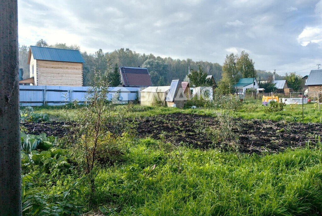 земля сельсовет, Площадь Маркса, садовое некоммерческое товарищество Огонёк, Мичуринский фото 5