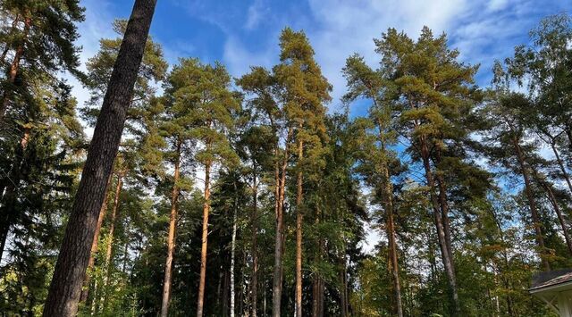 земля ул Новодеревенская Беговая фото