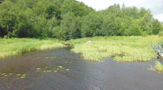 земля р-н Подпорожский д Пидьма Подпорожское городское поселение фото 21