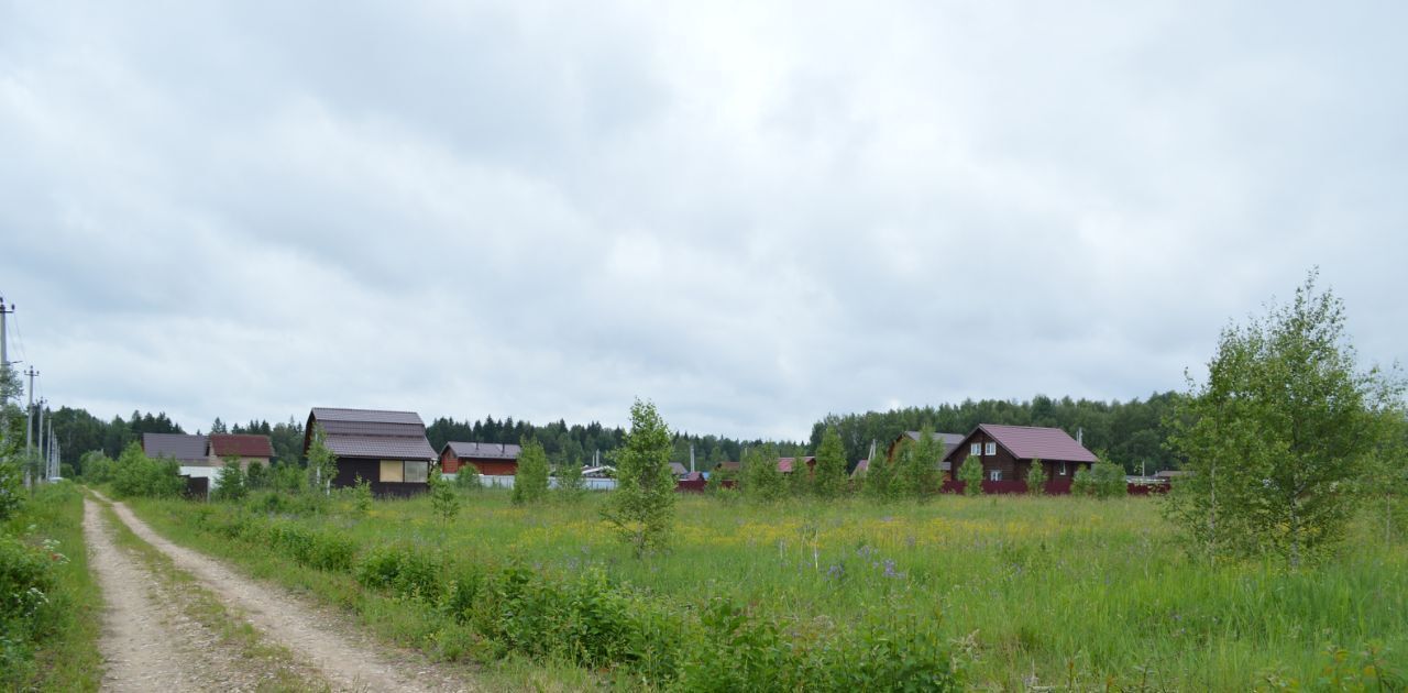 земля городской округ Можайский д Небогатово днп Лесное-2 фото 4