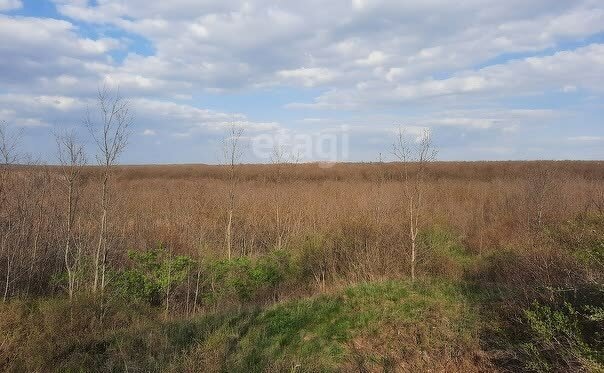 земля г Ростов-на-Дону р-н Ворошиловский садоводческое товарищество Зодчий фото 3