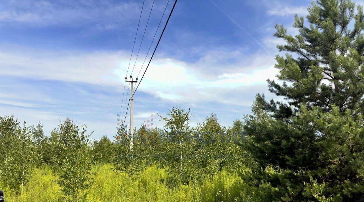 земля р-н Богородский с Афанасьево ул Приовражная фото 4