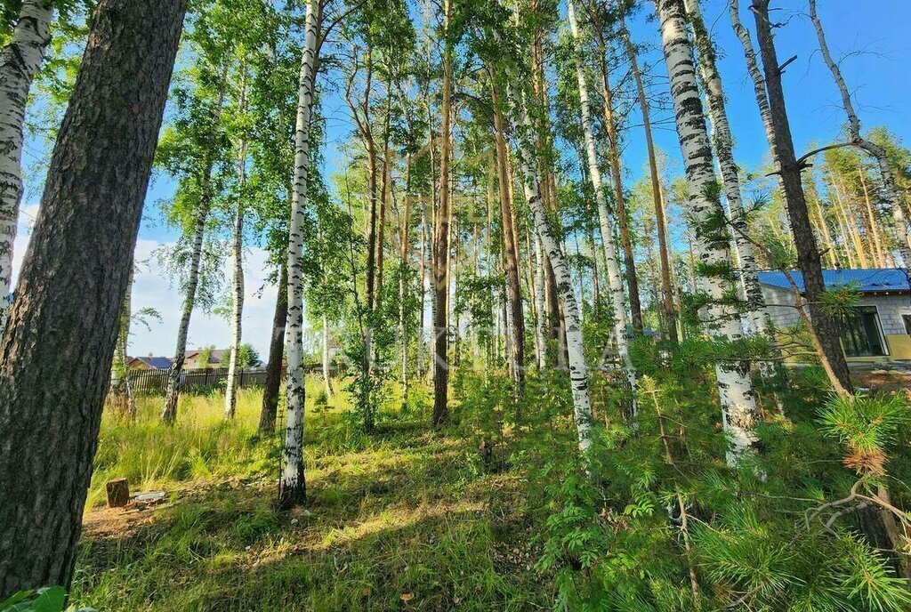 земля р-н Сысертский Южная улица, коттеджный посёлок Резиденция в Первомайском фото 3