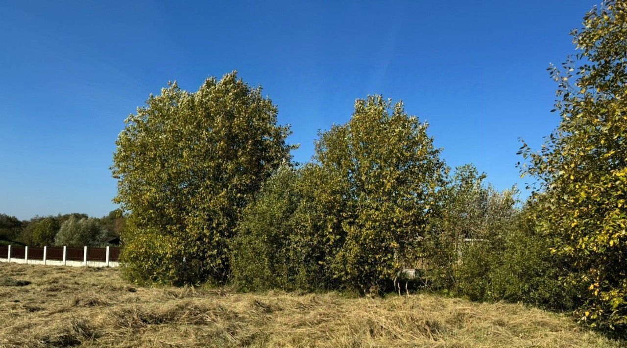 земля городской округ Рузский с Рождествено ЖК Руза Фэмили Парк Мерс Фэмили Парк кв-л фото 5