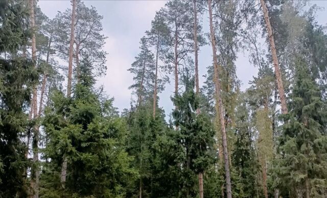 ул Ажурная Щёлковская фото