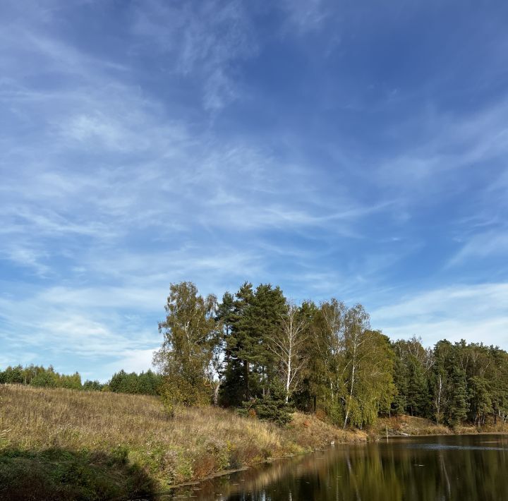 офис городской округ Ступино д Канищево снт Медовый Топаз фото 13