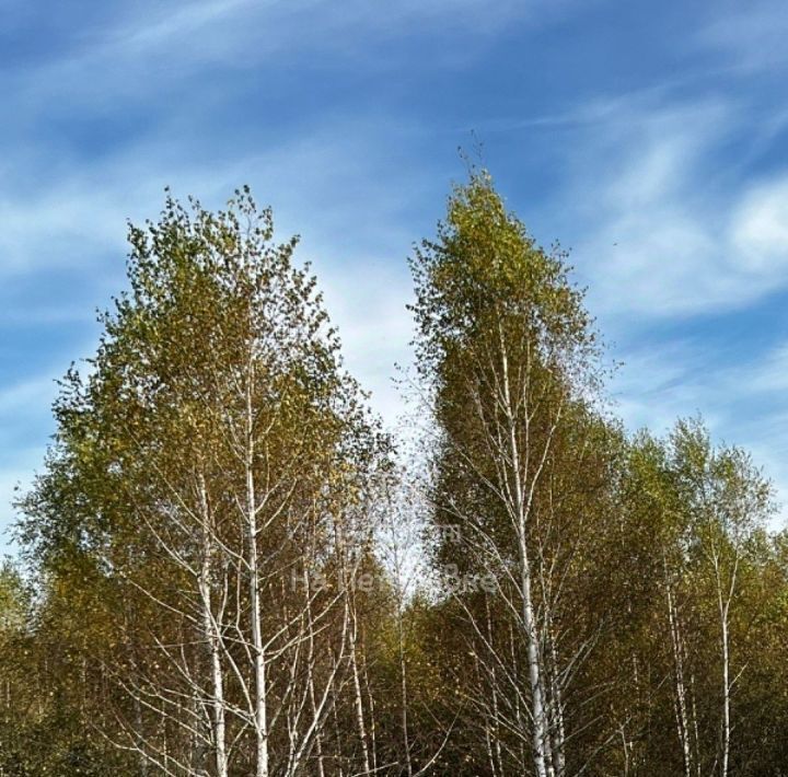 земля городской округ Ступино с Ивановское Домодедовская фото 6