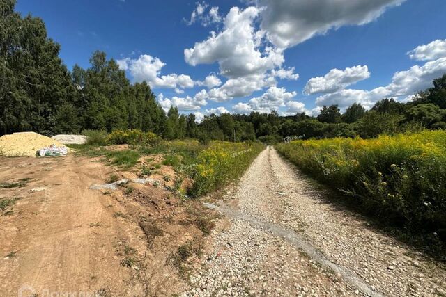 Тула городской округ, Ново-Струково фото