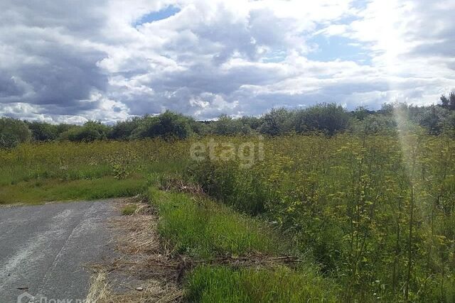 р-н Камышловский с Обуховское Набережная улица фото