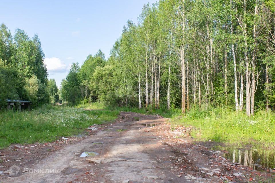 земля г Тобольск Центральная улица, городской округ Тобольск фото 3