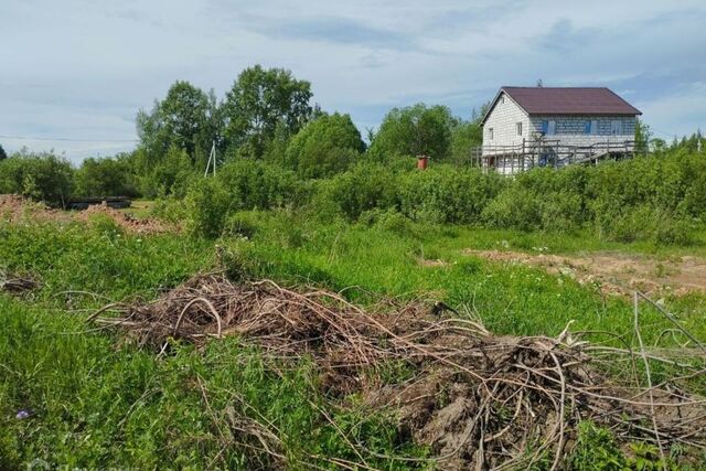 р-н Угличский Углич фото