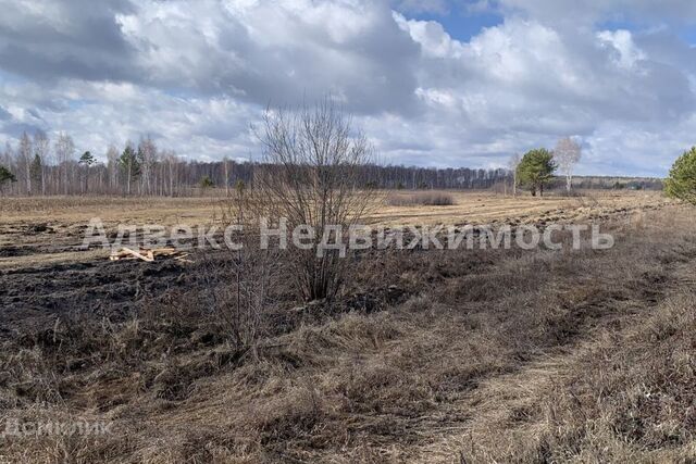 городской округ Тюмень, Центральный фото