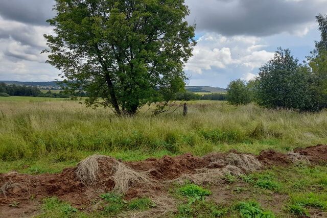 деревня Алексеевское фото