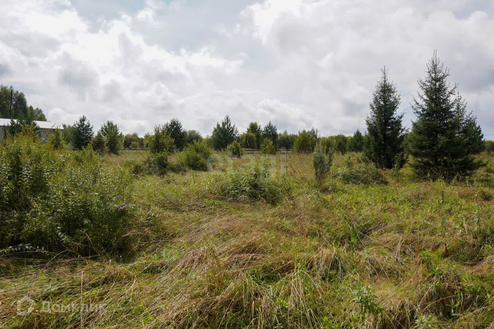 земля р-н Новокузнецкий Кемеровская область — Кузбасс, село Костёнково фото 4