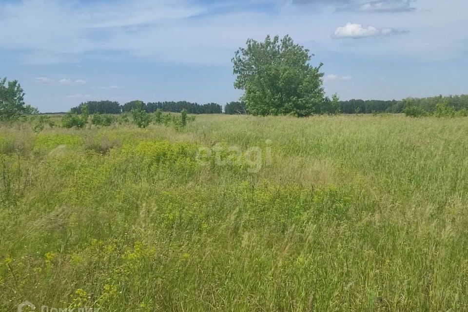 земля р-н Омский село Троицкое фото 6