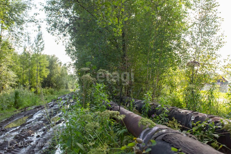 земля г Тобольск Центральная улица, городской округ Тобольск фото 7