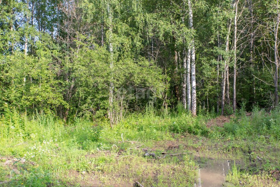 земля г Тобольск Центральная улица, городской округ Тобольск фото 5