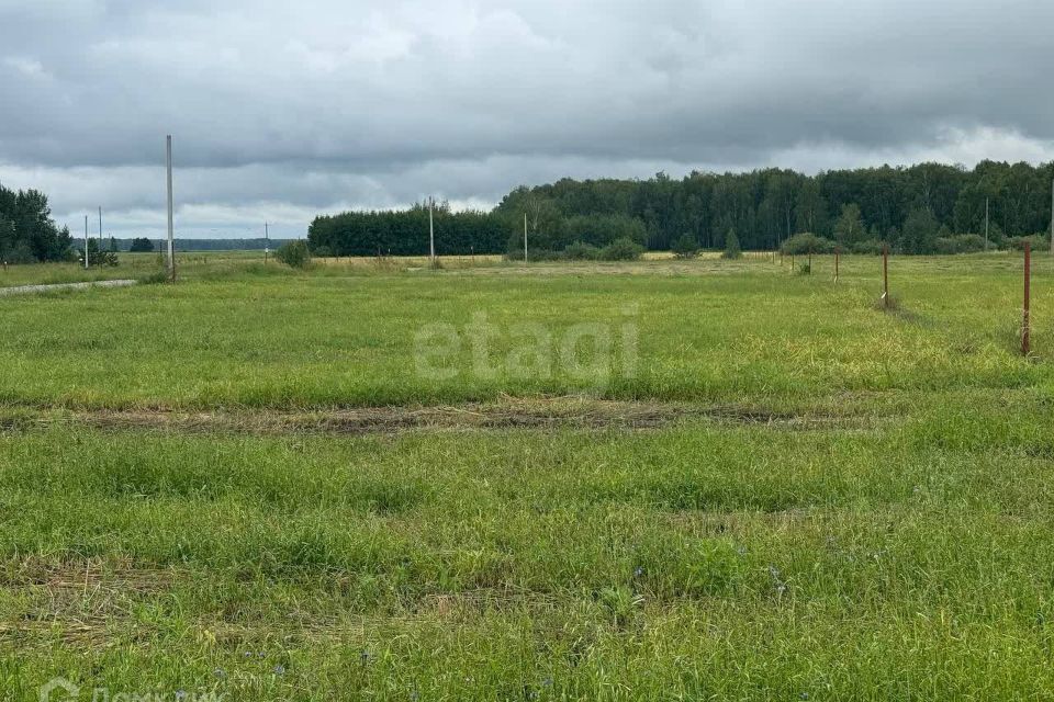 земля р-н Тугулымский село Мальцево фото 1