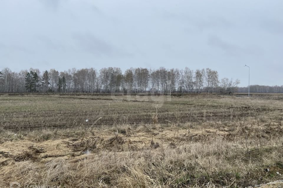 земля р-н Тюменский ДПК Новокаменский, Ахматовой фото 1