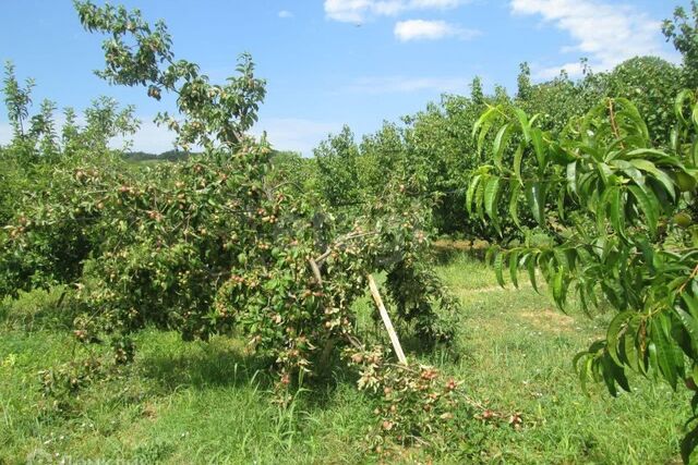 Нахимовский муниципальный округ фото