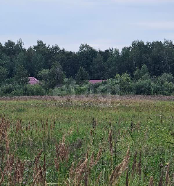 земля р-н Нижнетавдинский село Средние Тарманы фото 3