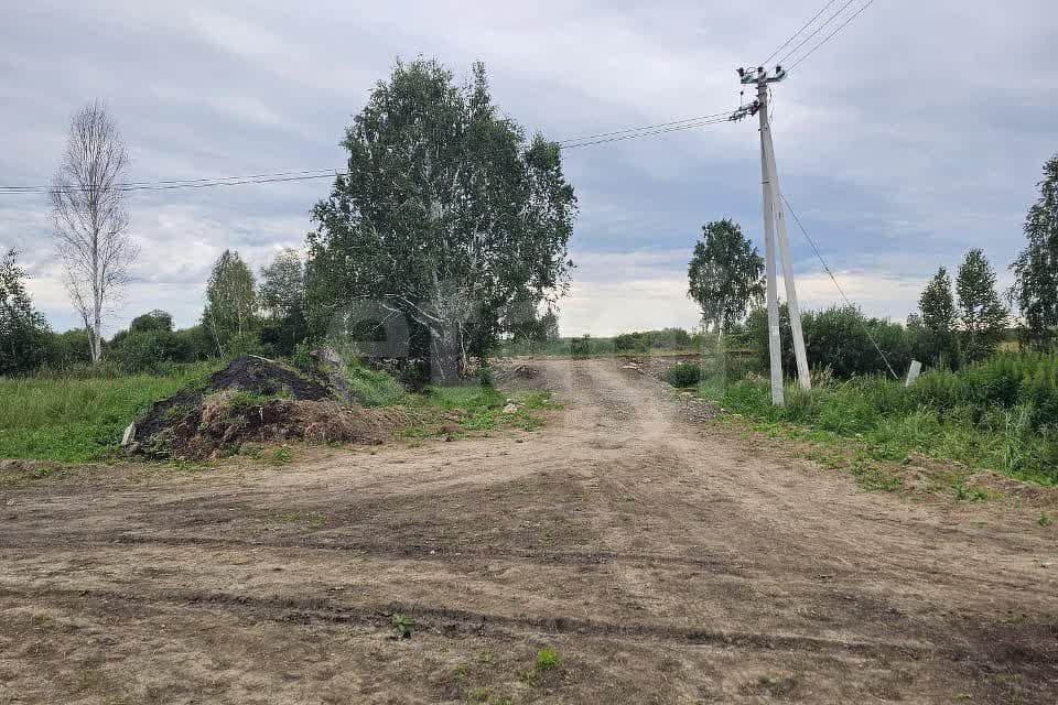 земля р-н Нижнетавдинский село Средние Тарманы фото 3