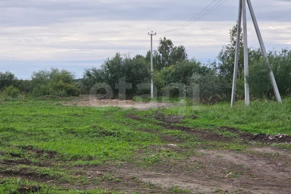 земля р-н Нижнетавдинский село Средние Тарманы фото 4