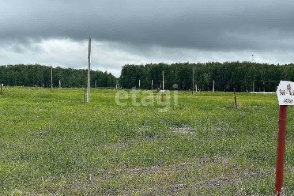 земля р-н Тугулымский село Мальцево фото 2