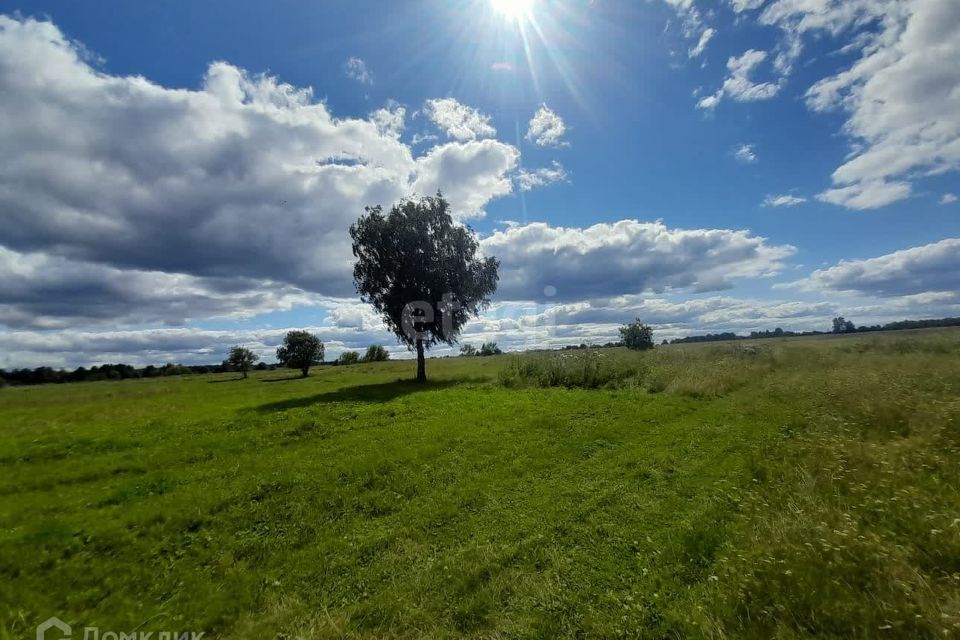 земля г Нижняя Салда ул Розы Люксембург городской округ Нижняя Салда фото 3