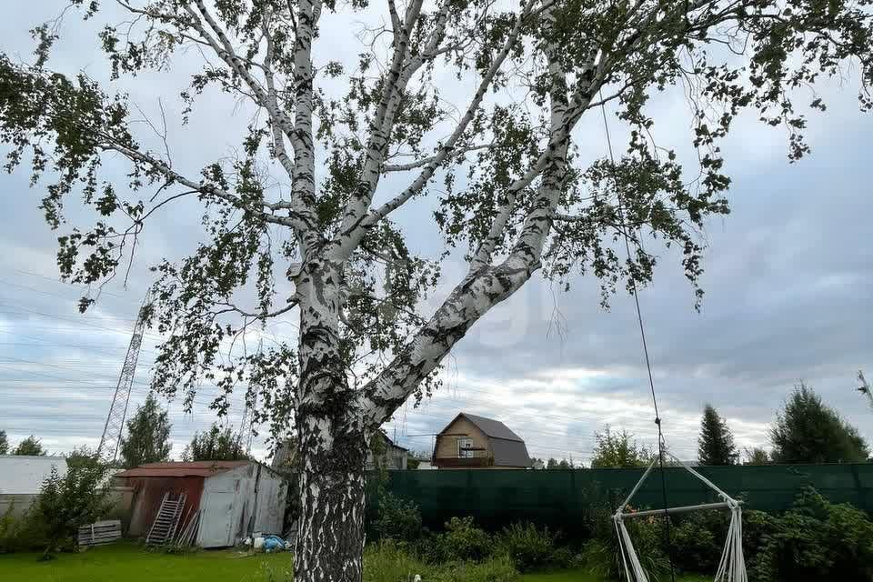 дом р-н Пригородный с Мурзинка городской округ Среднеуральск, Берёзовая, 3 фото 8