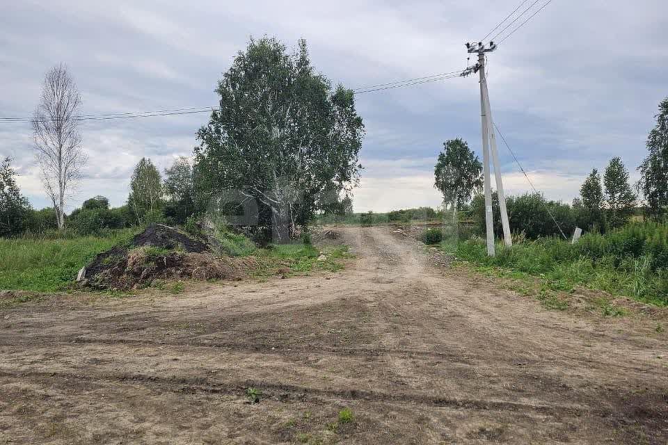 земля р-н Нижнетавдинский село Средние Тарманы фото 8